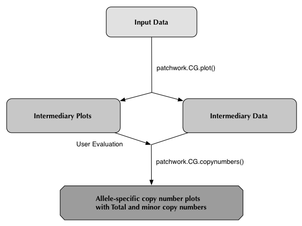 Flowchart of processes and data for patchworkCG