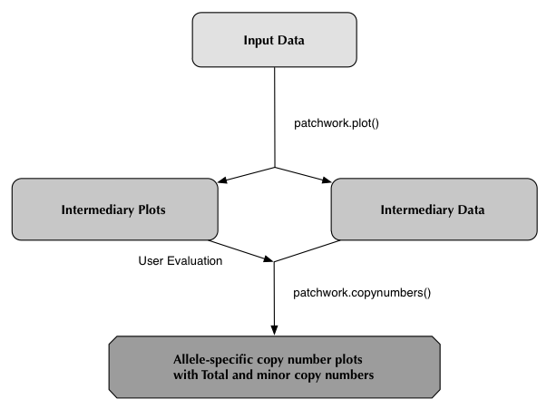 Flowchart of processes and data for patchwork